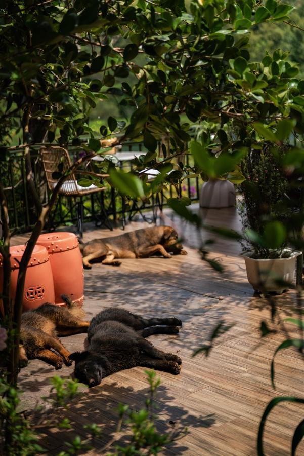 Zen Cafe Lakeside